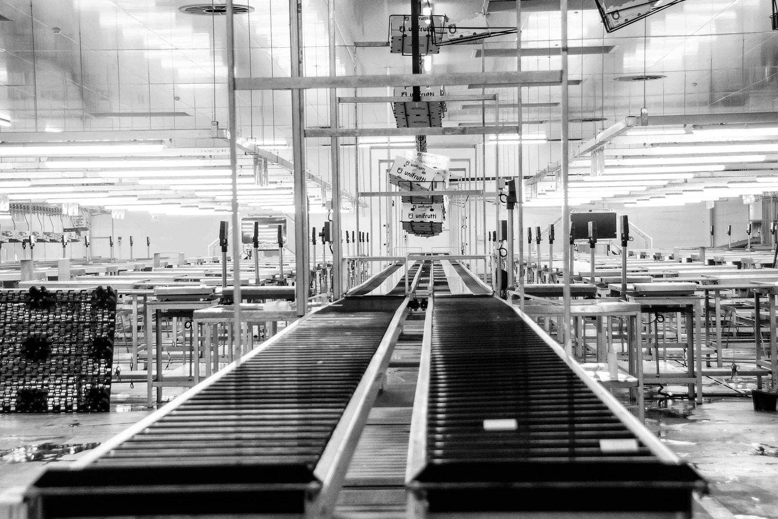 Monochrome conveyor system inside a factory production line